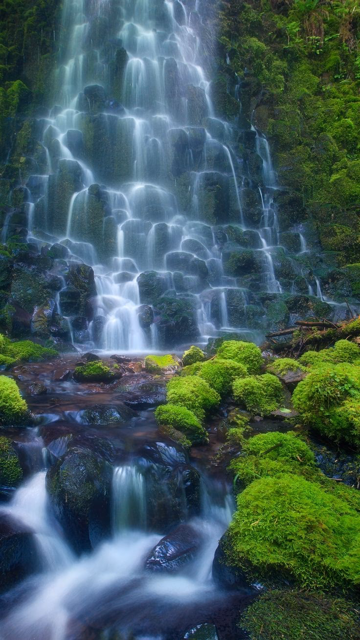 How many 1080x1920 wallpapers are there?
