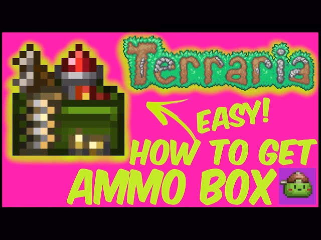 What is ammo box?