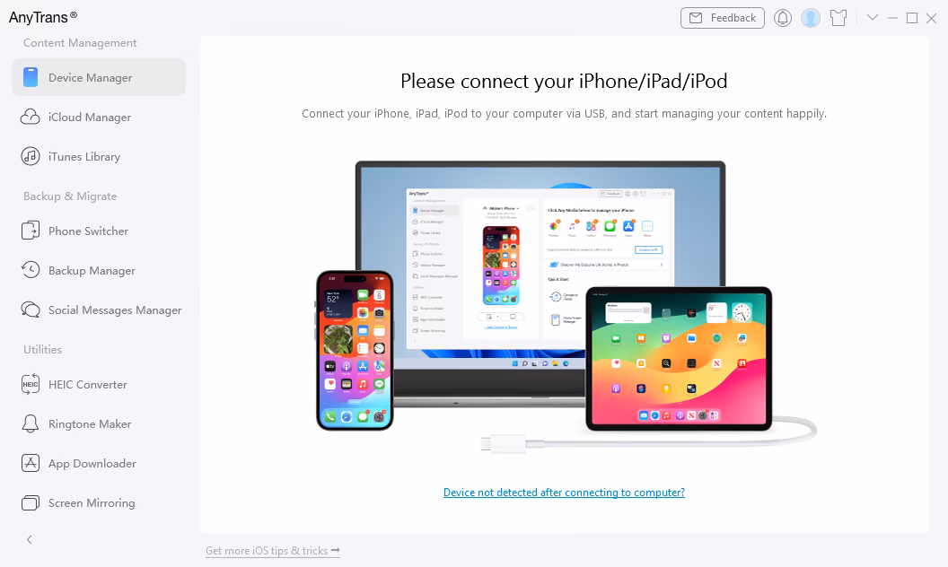 What can you transfer using AnyTrans?