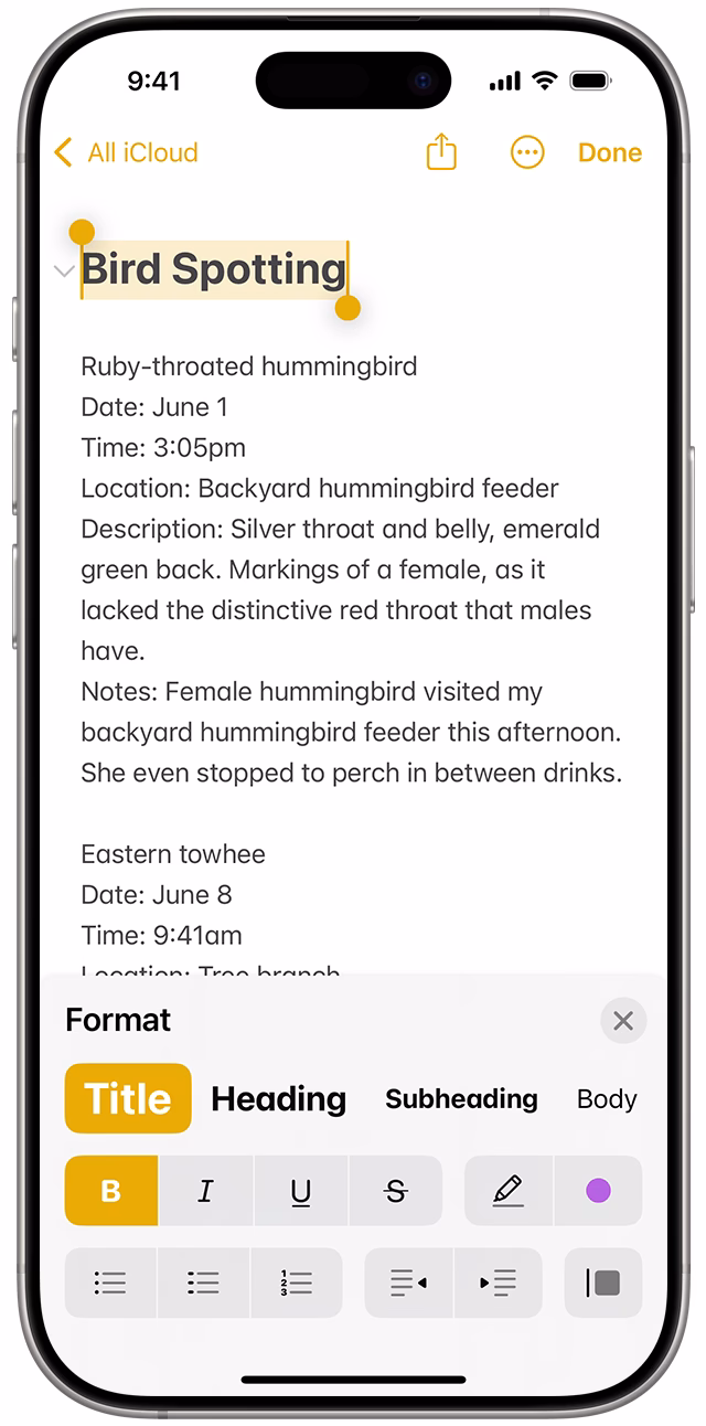 How to use Apple Notes on iPhone?