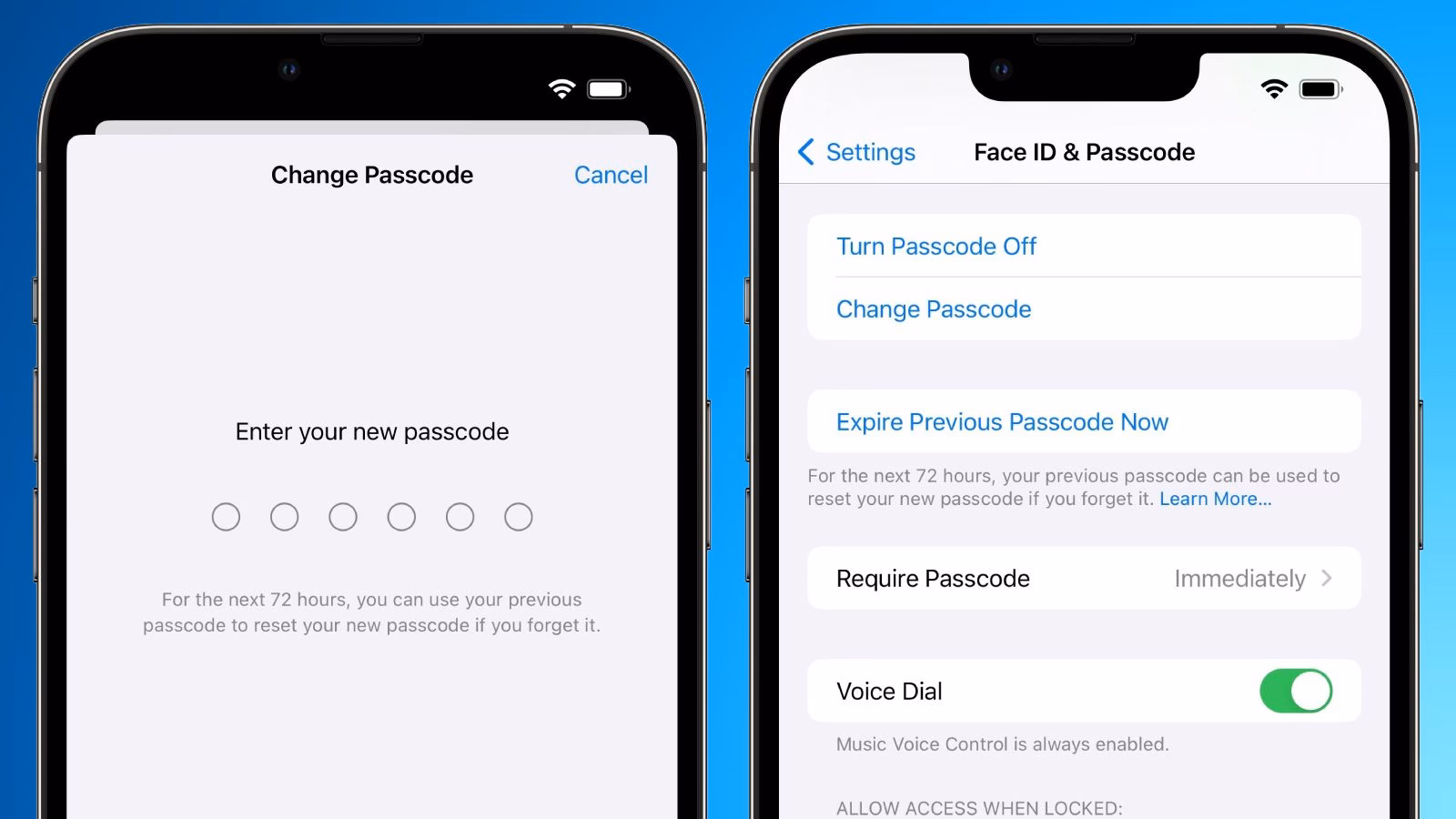 What is my Apple ID password?