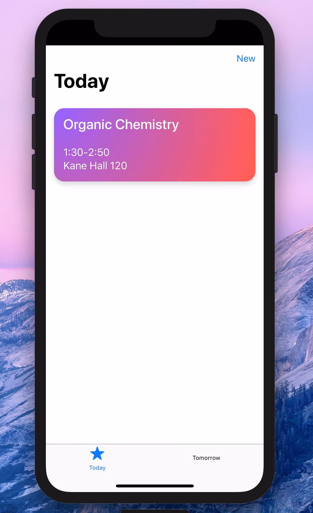 What are the different settings available in Apple mobile web app?