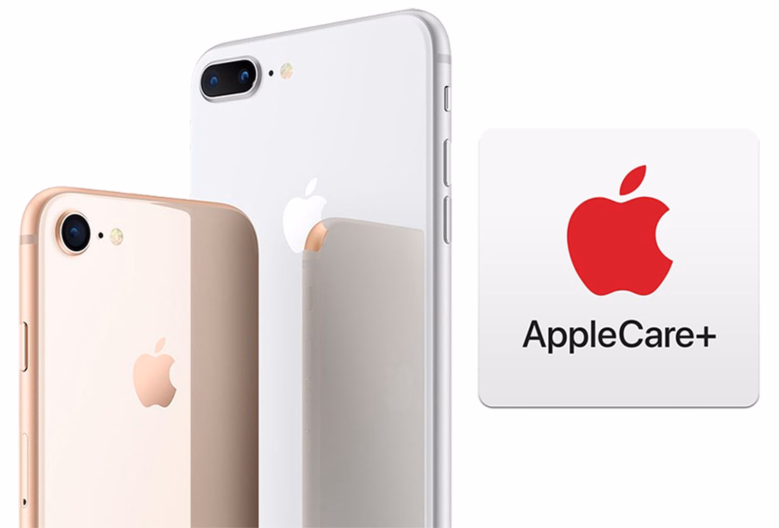 How much does AppleCare cost for iPhone 8 & 8 Plus?