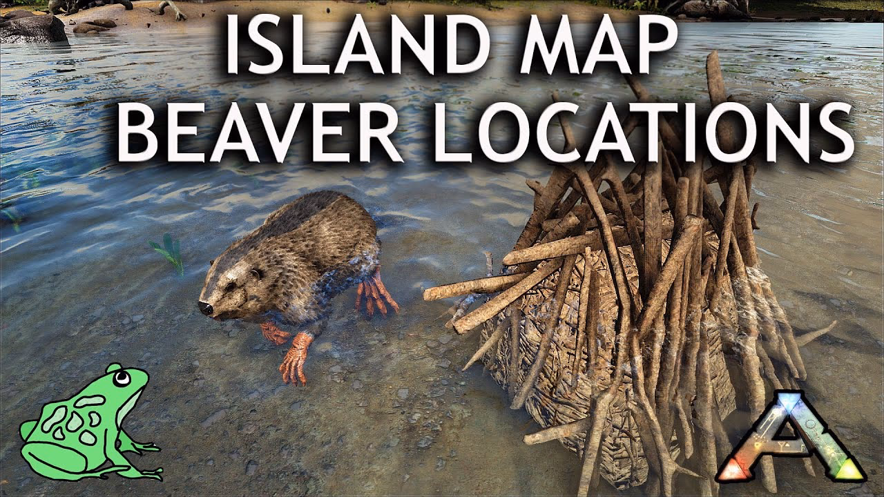 How do I stop a beaver dam from spawning?
