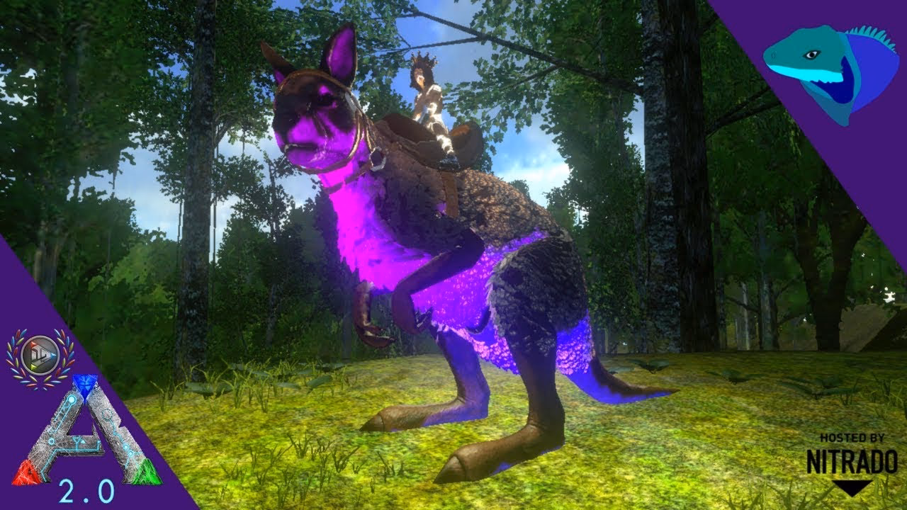 What's new in Ark mobile?