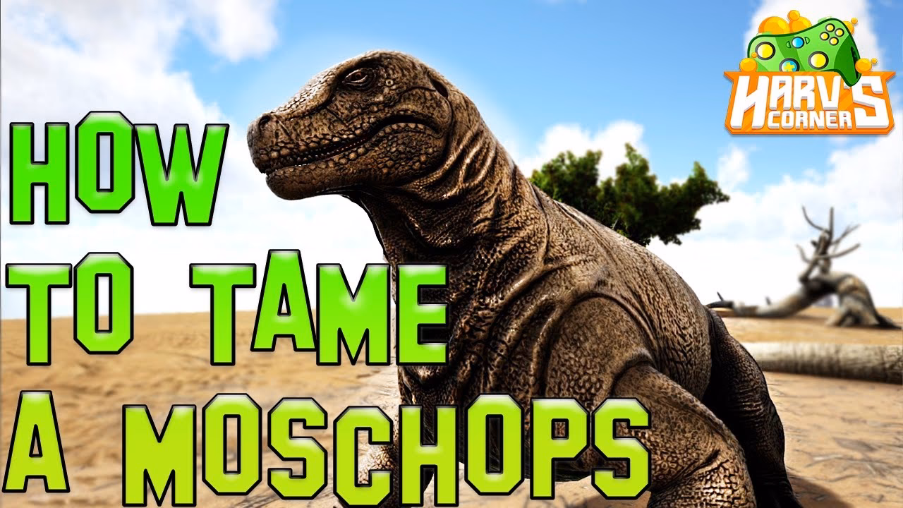 Are Ark Moschops omnivores?