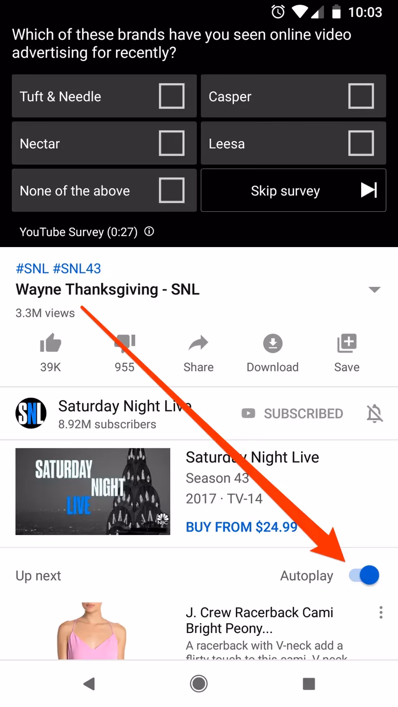 What is YouTube's Autoplay feature?