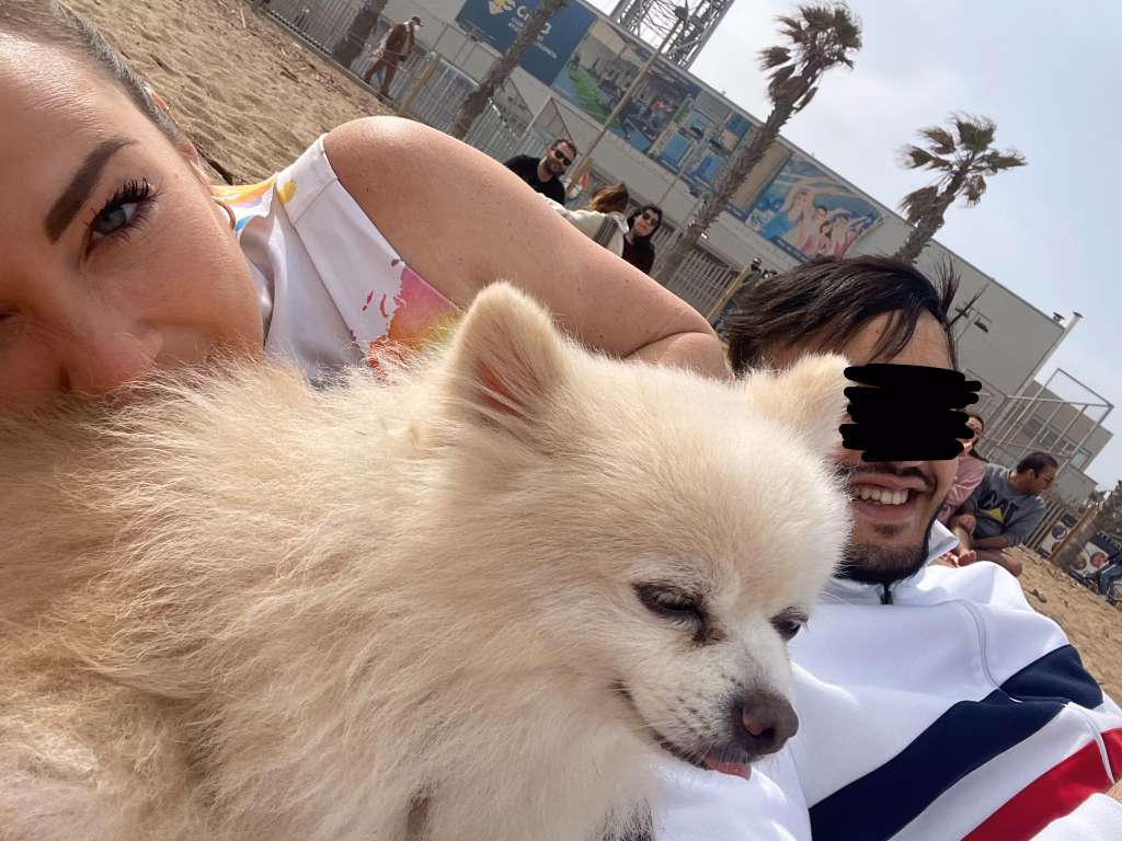 Which city in Spain has the most stolen phones?