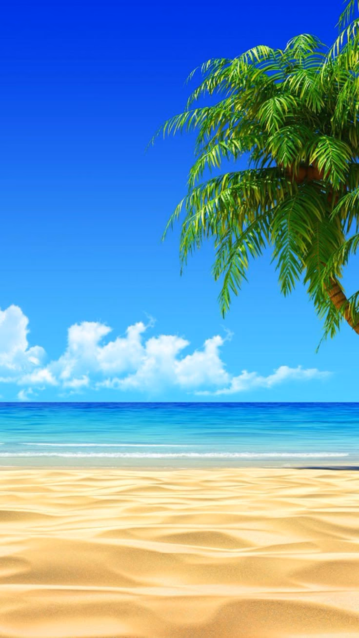 How many 1920 x 1080 Beach wallpapers can you download for free?