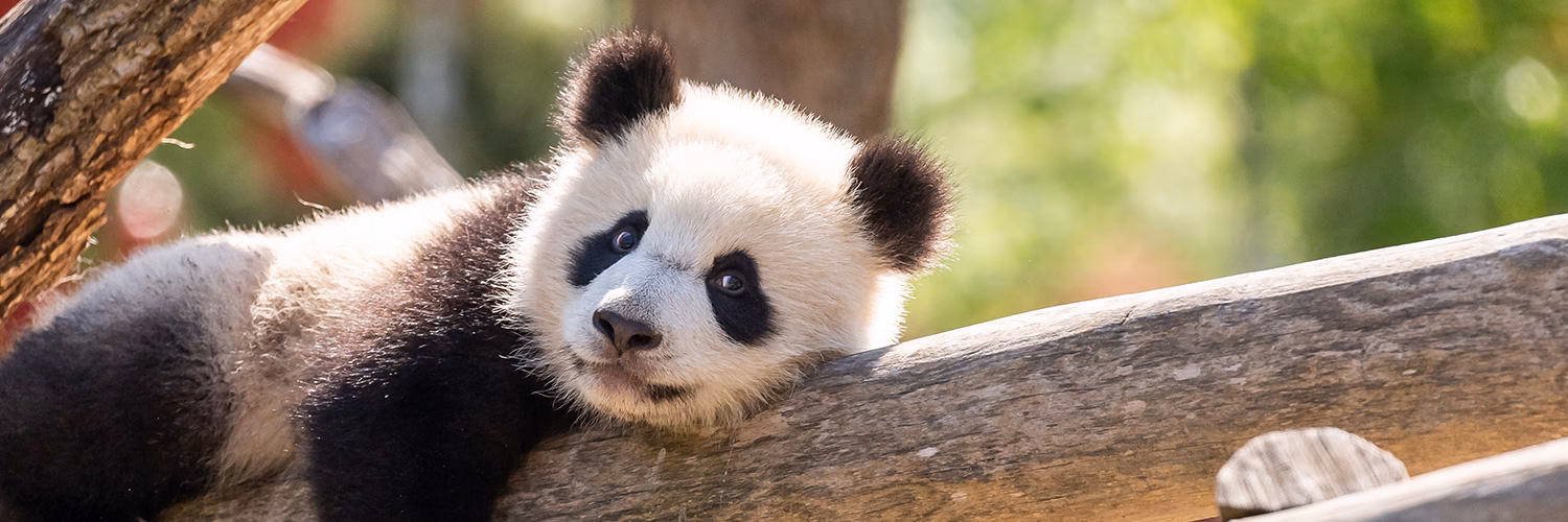 How do I contact Zoo Berlin?