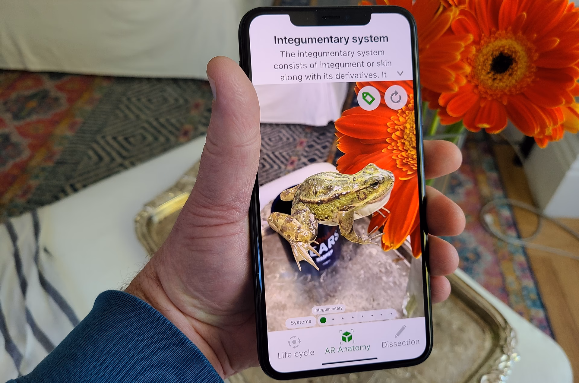 What are the best AR apps for iPhone & iPad?