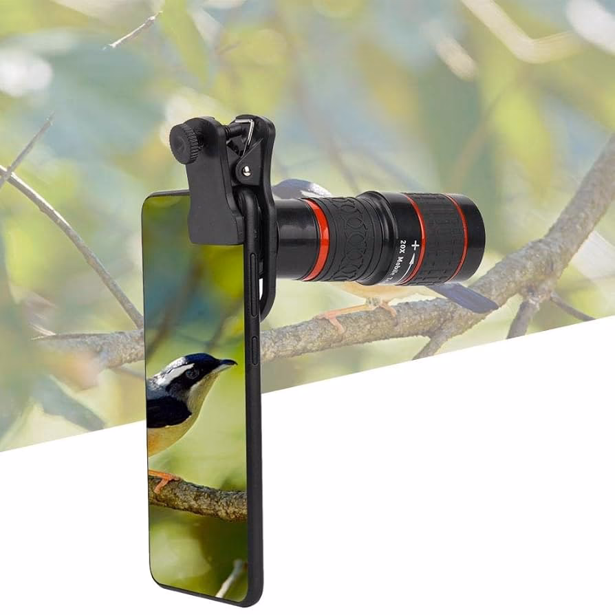 How do I choose a good camera for a concert?