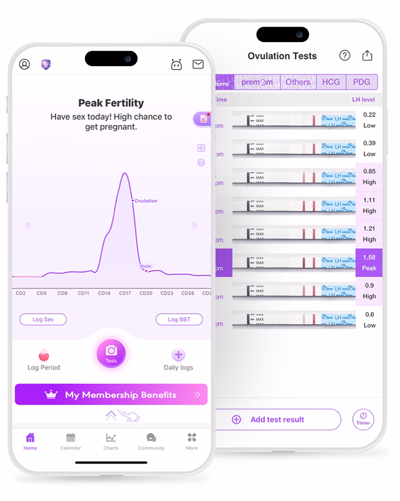 What is the best ovulation calculator?