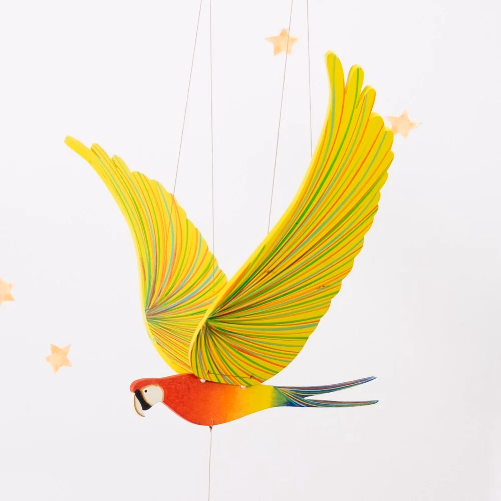 What is eBird mobile?