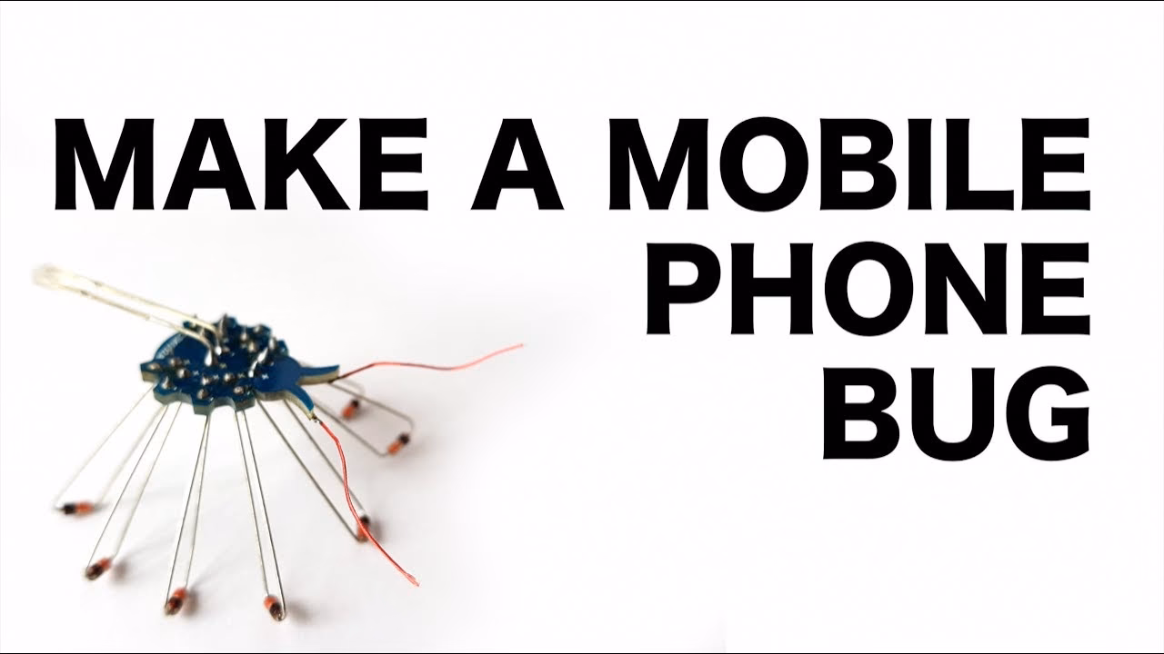 What are GSM bugs?