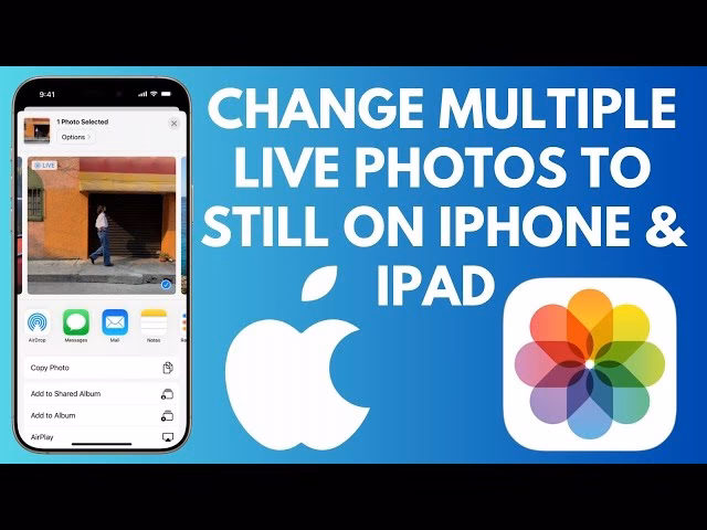 How to convert live photo to a still image on iPhone?