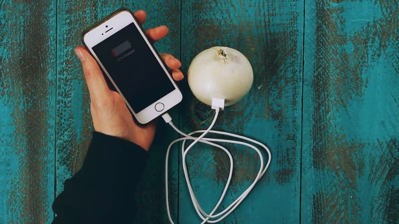 Can you put a plug in a soaked onion?