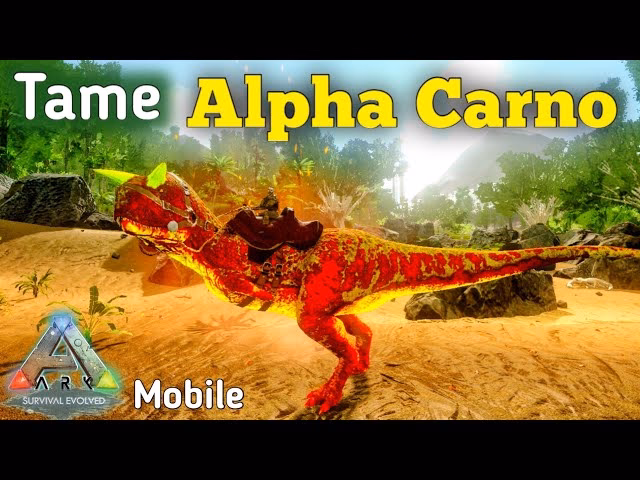 How does a Carno tame a human?