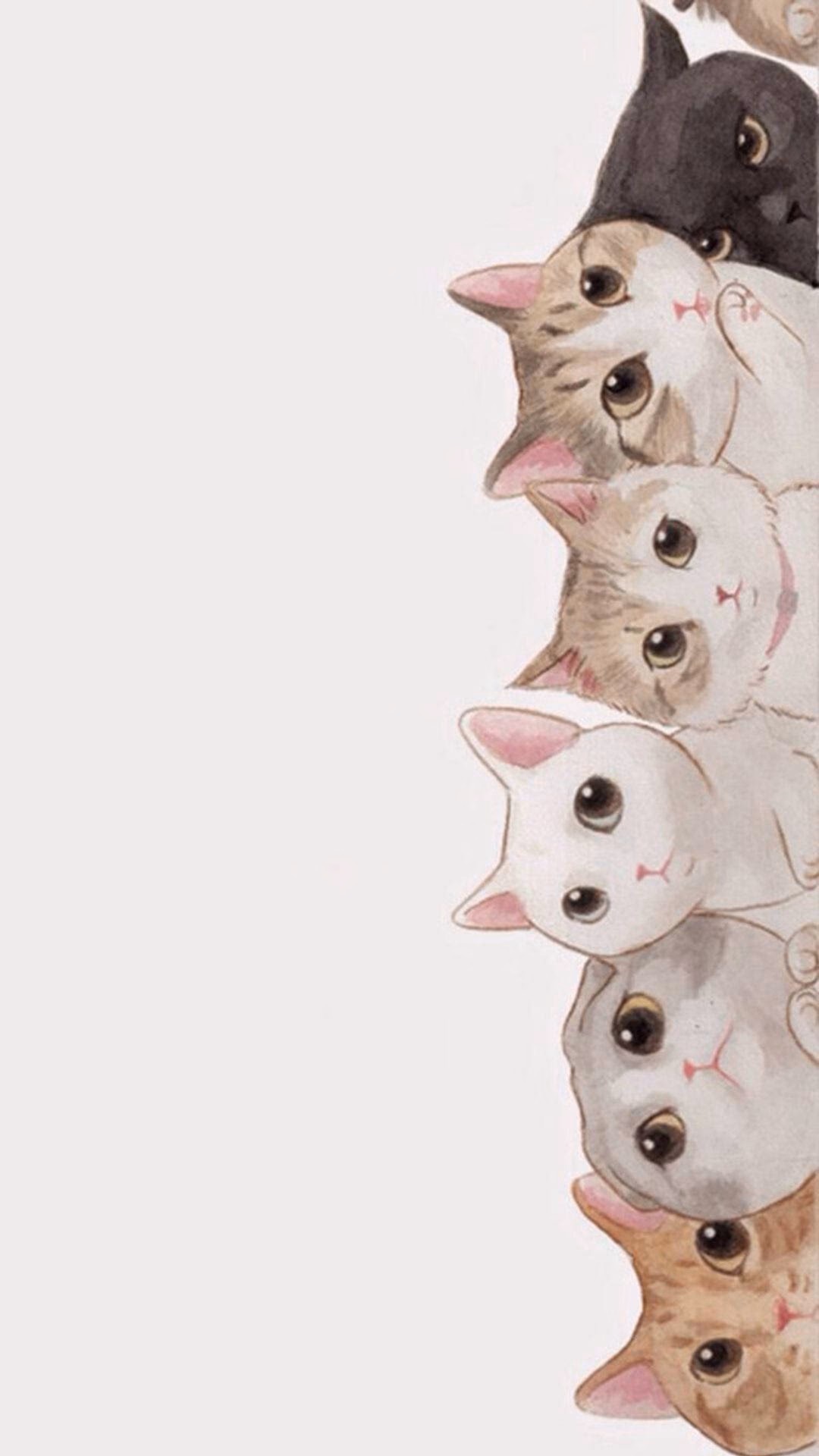Why should you choose a cat iPhone wallpaper?