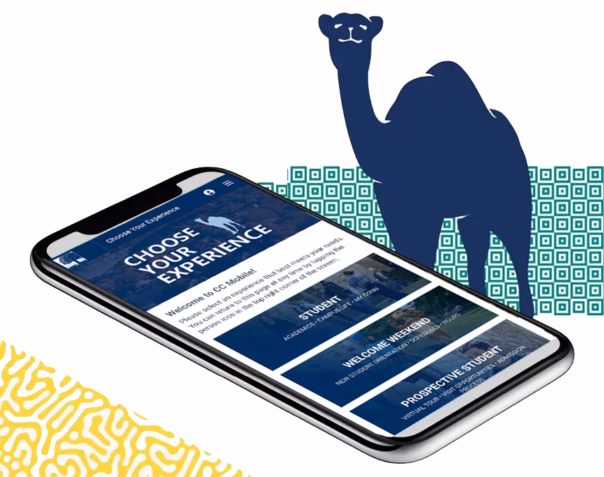 What is my consumer mobile app?