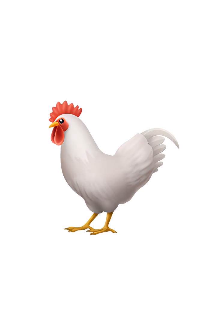 What is the size of the chicken icon?