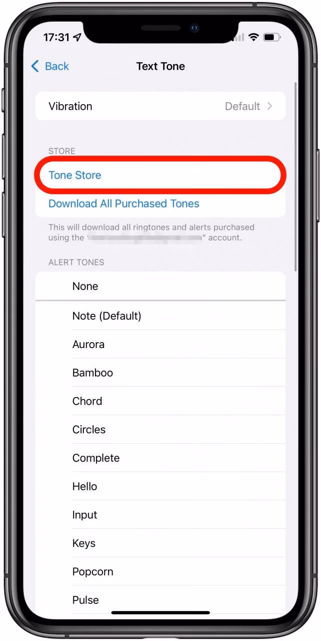 How to change old iPhone ringtone?