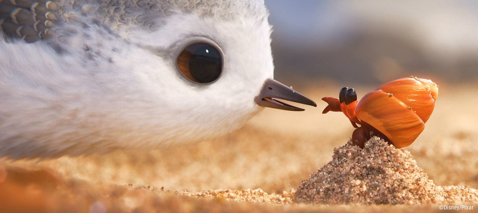 What is Pixar USD?