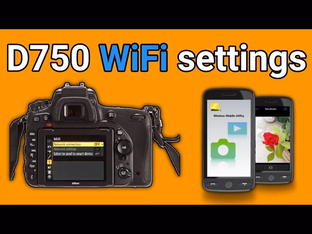 What is a Nikon D750 setup guide?