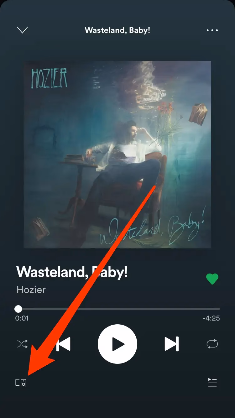 What is Spotify Connect?