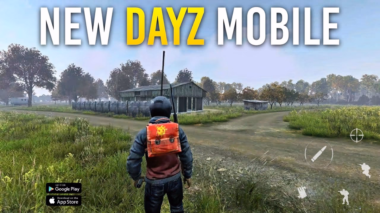 How do I customize a DayZ server?