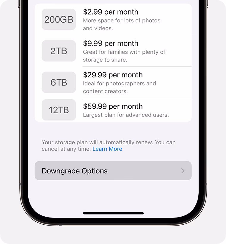 Should I downgrade my iPhone?