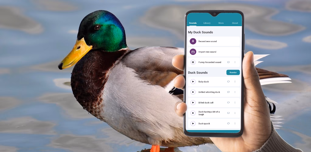 Where can I download Duck sound effects in MP3 format?