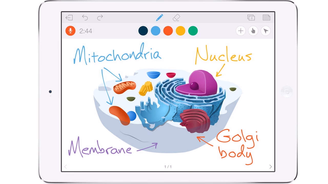 Is Educreations available on iPad?