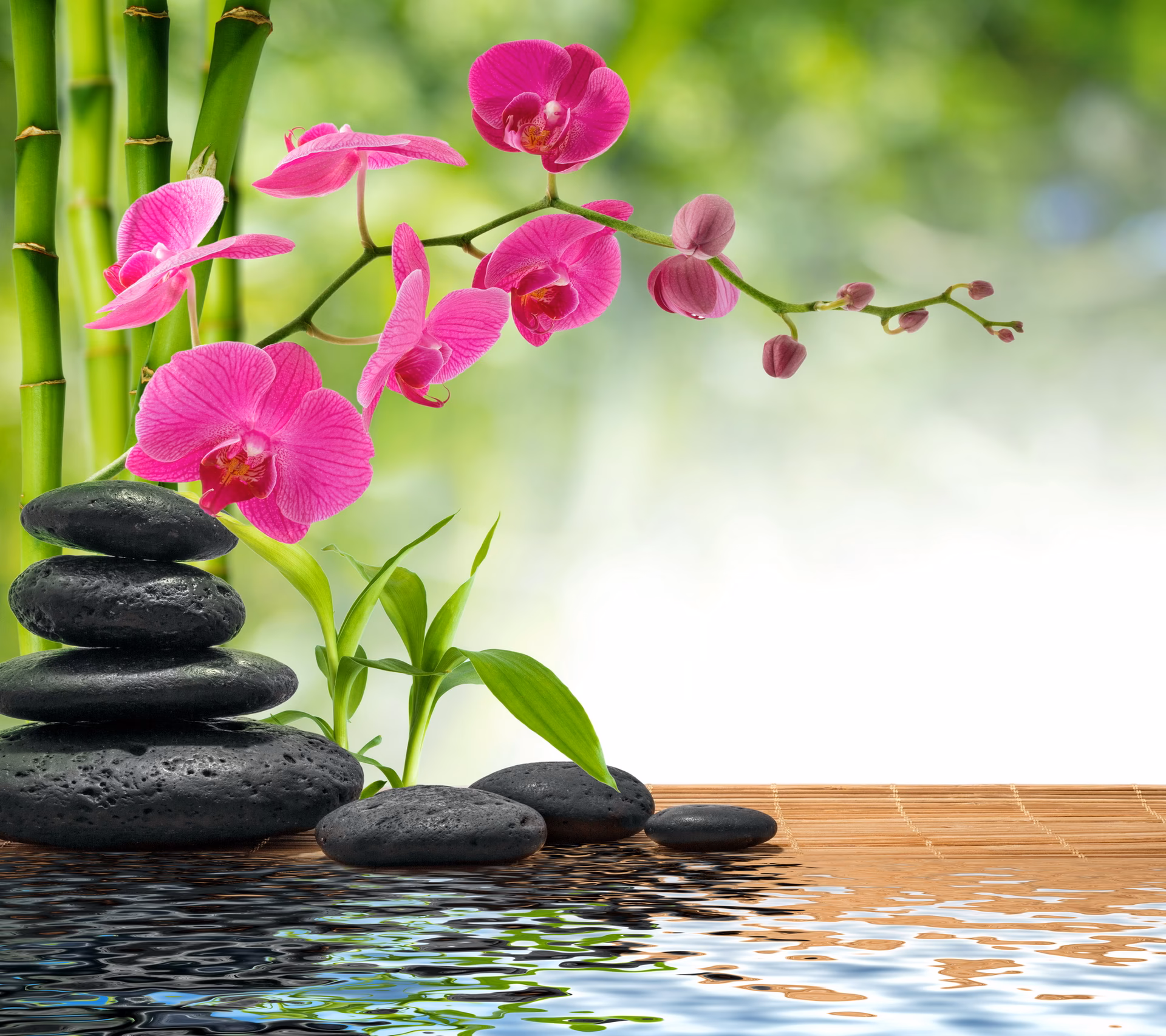 How many free eye relaxing wallpapers are there?
