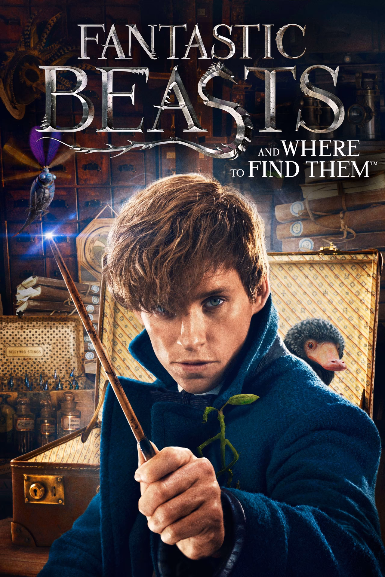 Where can I watch Fantastic Beasts & where to find them?