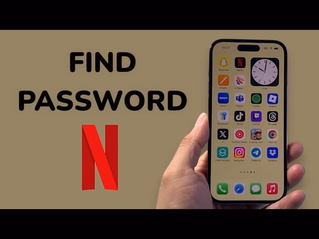 How do I Find my Netflix email address?