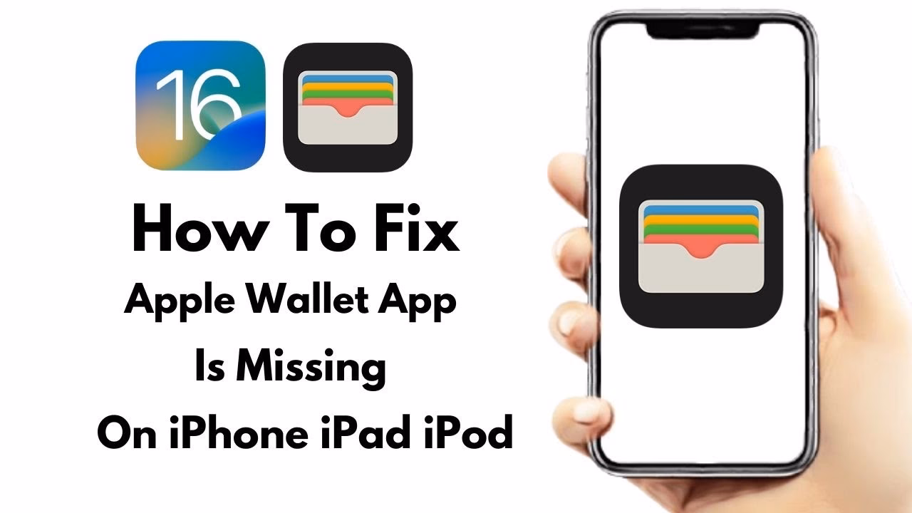 What is Apple Wallet & how do I use it?