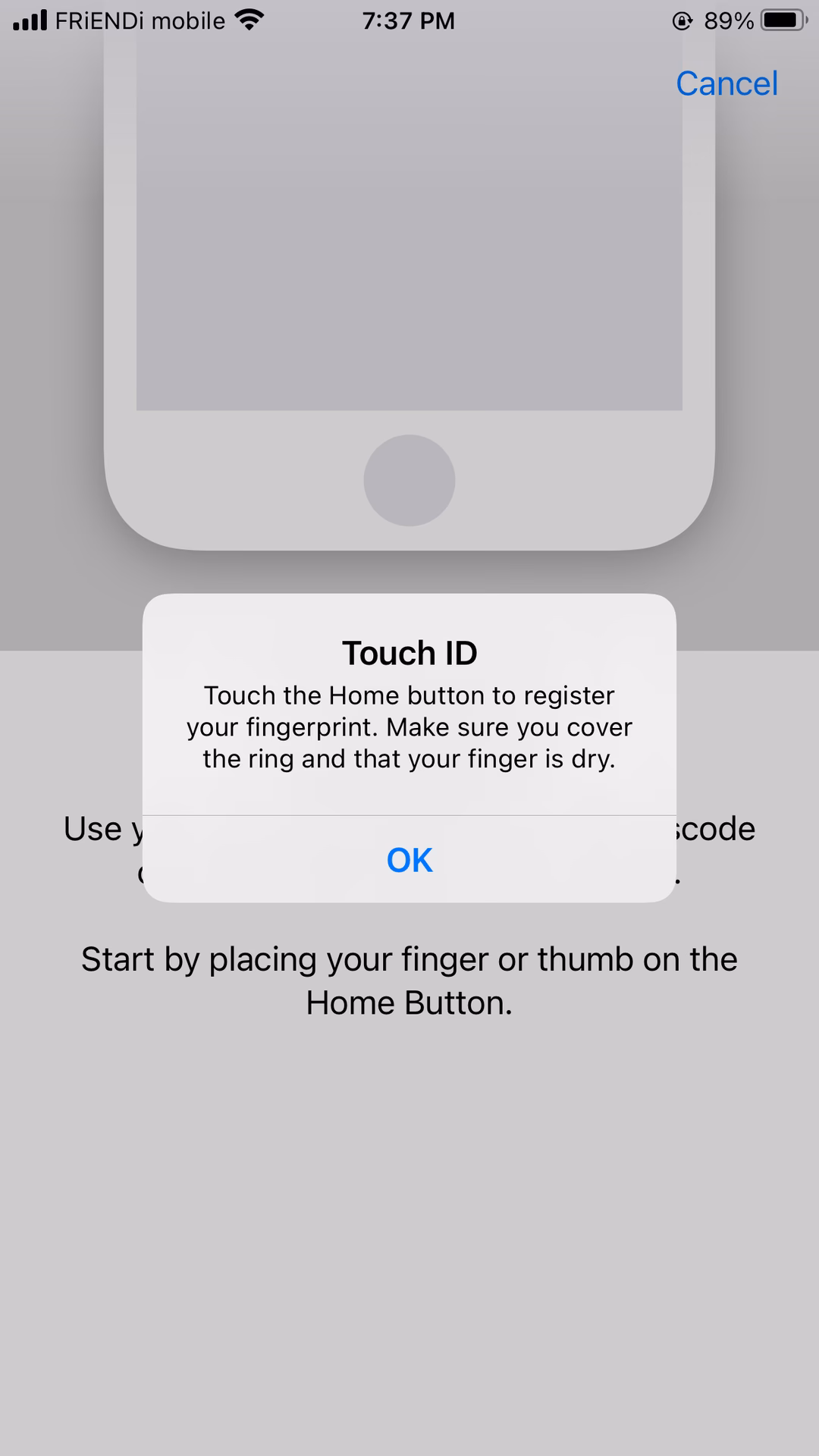Should I use my fingerprint on my iPhone?