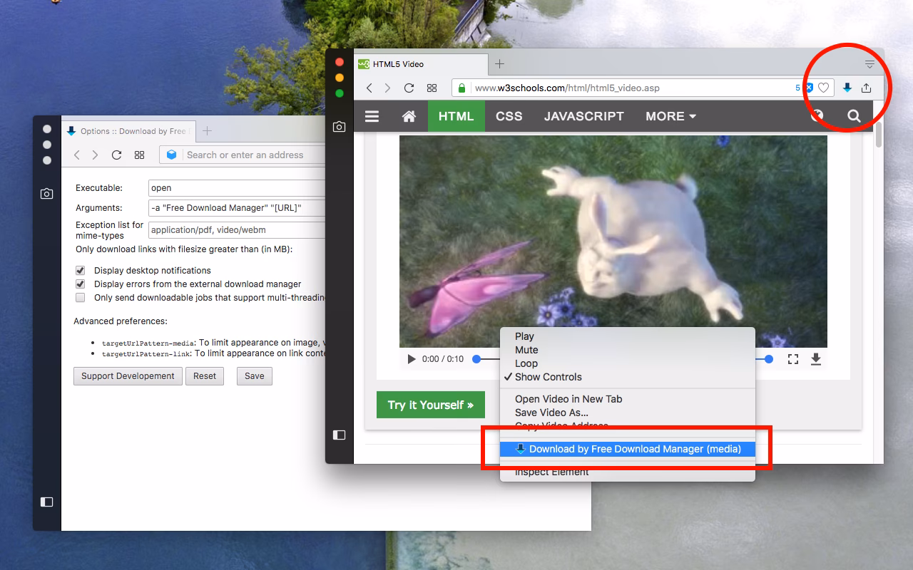 How do I download a meatball from Firefox?