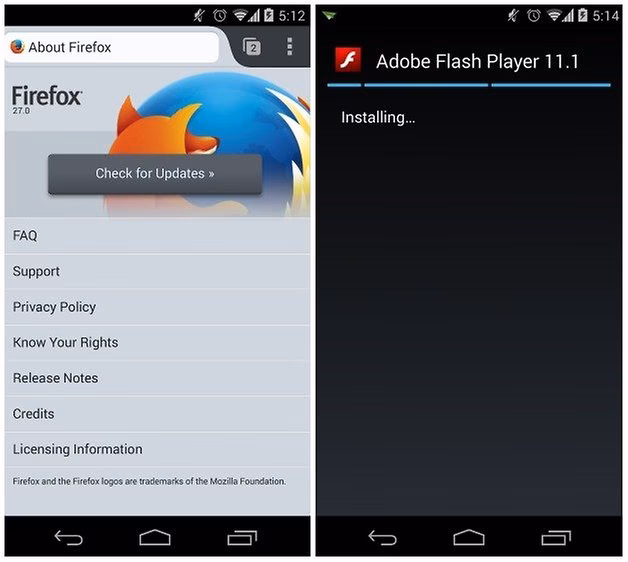 What is Adobe Flash in Firefox?