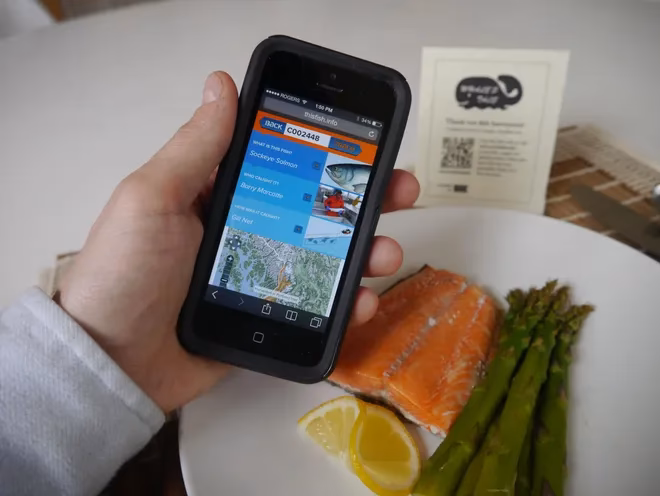 How does wireless technology affect a fisherman?