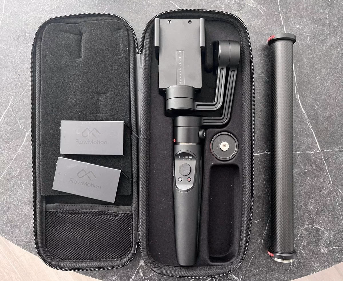 How much did you donate to Flowmotion?