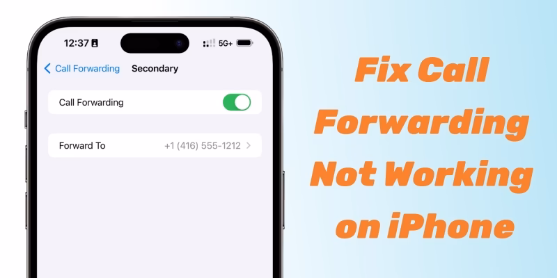 Is iPhone call forwarding broken?