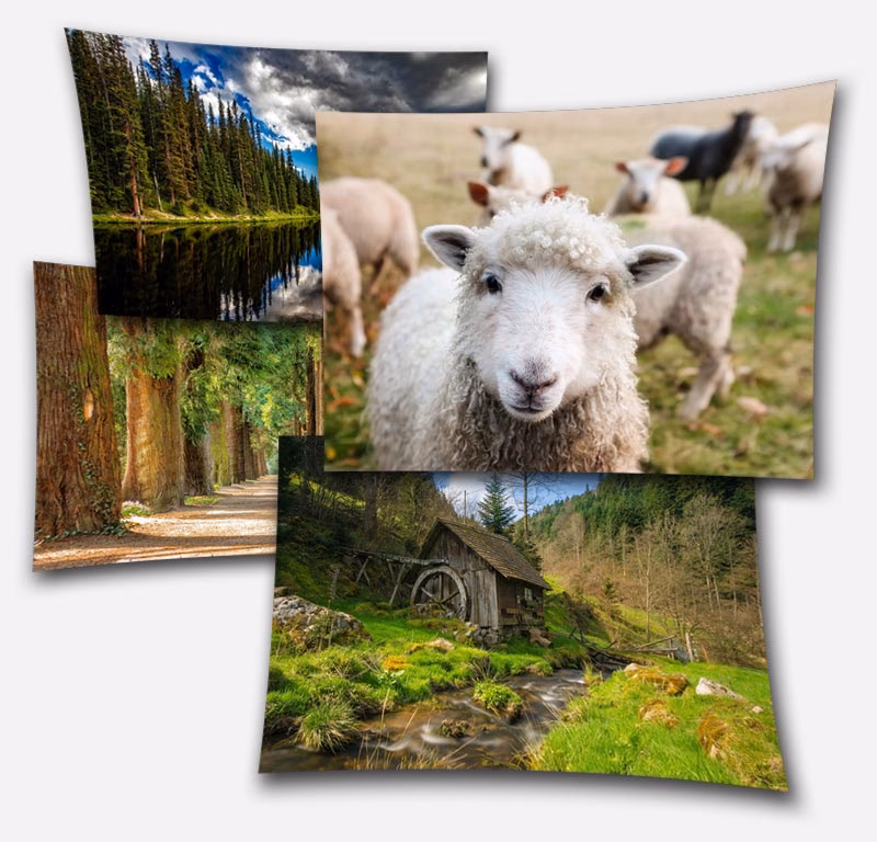 How to edit a photo in FotoFlexer?