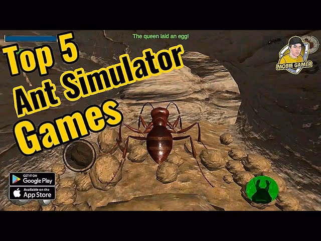What is giant ant?