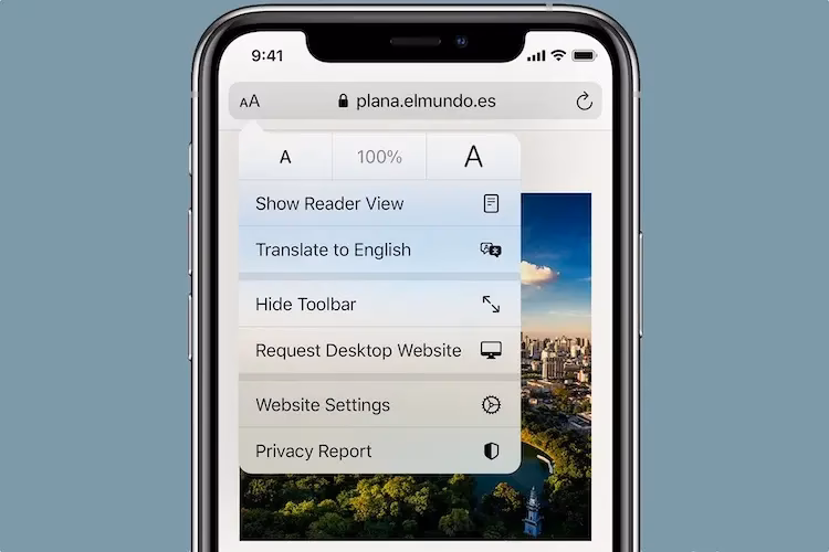 What does a translation icon mean in Safari?