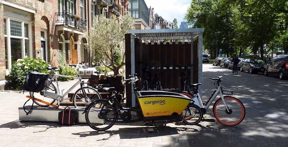 Are taxi services sustainable in Amsterdam?