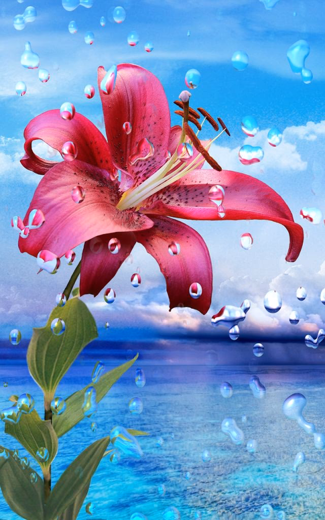 What is wallpapercave?