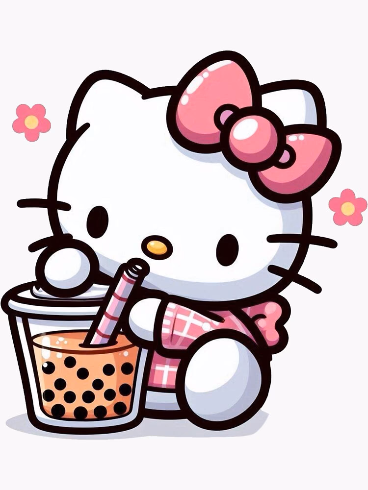What is a Hello Kitty case?