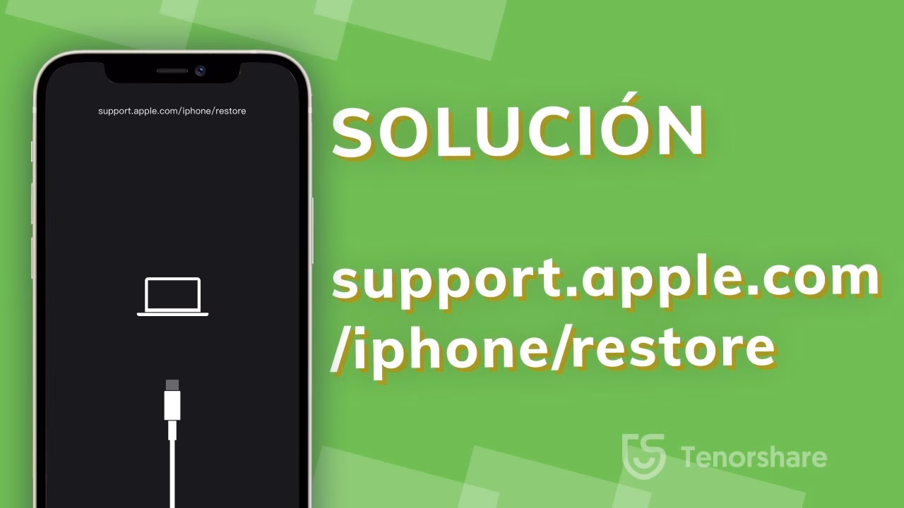 ¿Qué es el soporte de Apple?